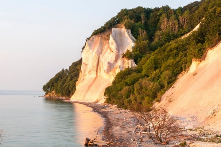 Møns klint and The Forest tower - A day tour from Copenhagen