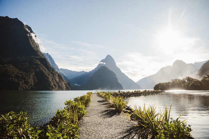 Milford Sound Premium Small Group Tour & Cruise from Queenstown