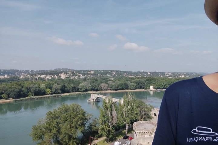 Avignon Walking Tour including Pope's Palace
