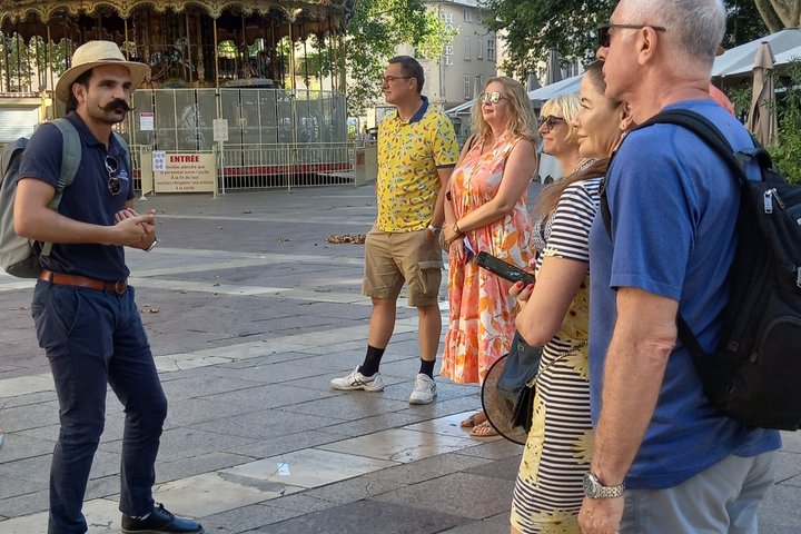 Avignon Walking Tour including Pope's Palace