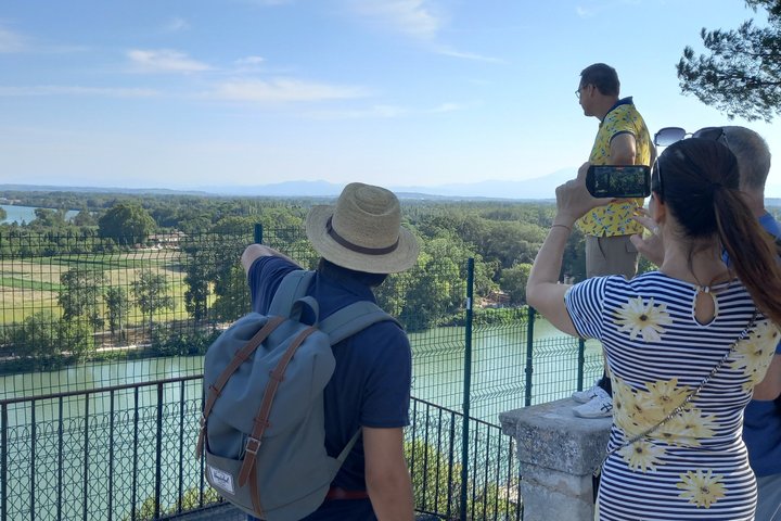 Avignon Walking Tour including Pope's Palace
