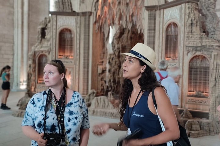 Avignon Walking Tour including Pope's Palace