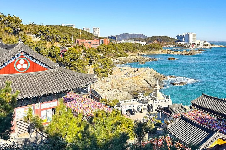 Authentic Busan Full-Day City Highlights Tour