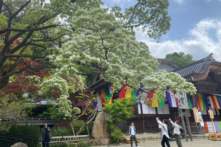 Private Buddhist Temple Ritual & Soba Tour – Tokyo at Jindaiji