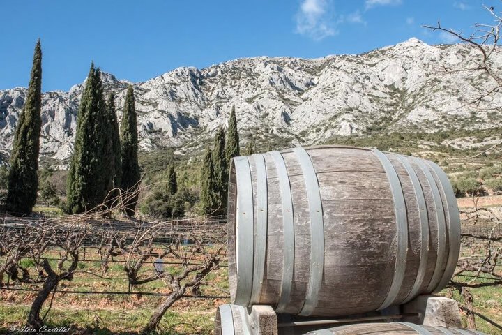 From Aix-en-Provence: 2-Hour Wine & Scenery Sidecar Tour