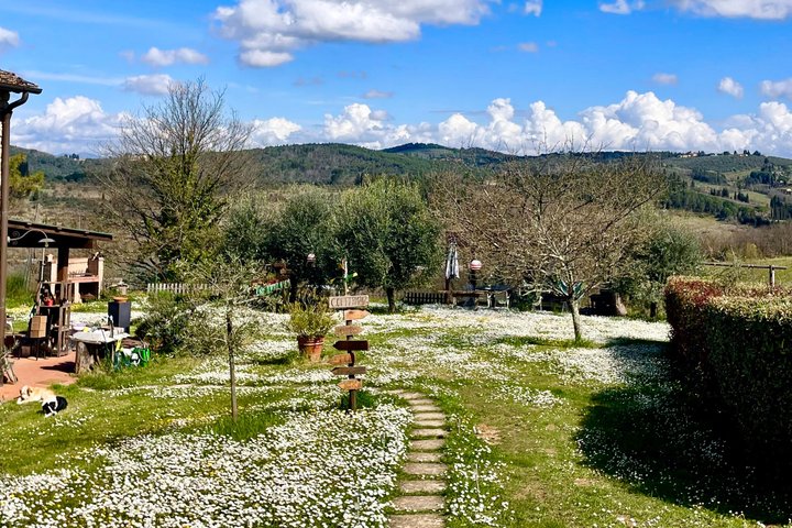 Truffle Hunting in Chianti, pasta class and lunch