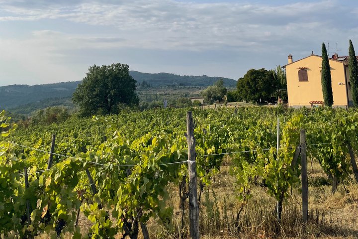 Truffle Hunting in Chianti, pasta class and lunch