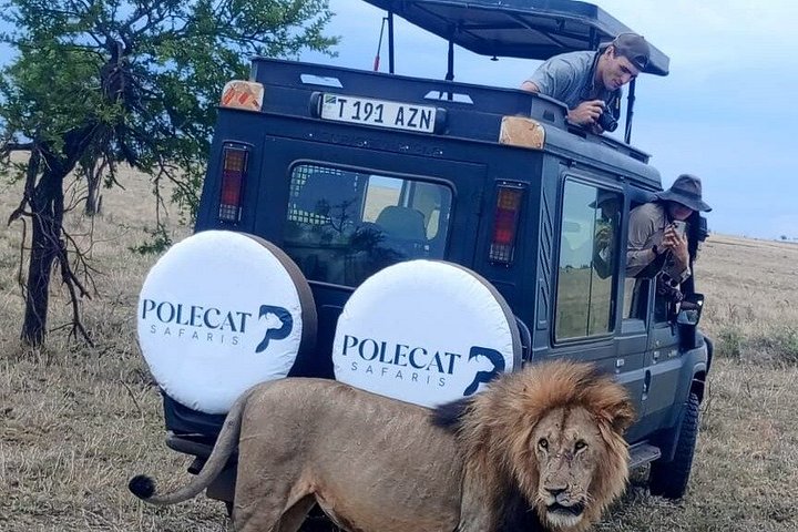 2-Day Private Luxury Safari: Tarangire & Ngorongoro Tanzania
