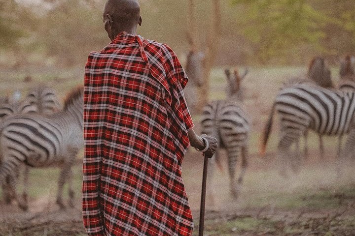 2-Day Private Luxury Safari: Tarangire & Ngorongoro Tanzania