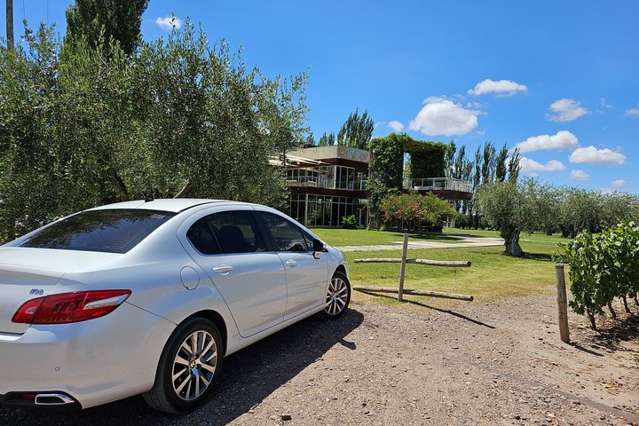 Private Driver Service in Mendoza