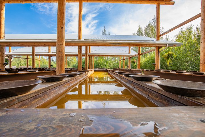 Gold Dredge 8 Historic Tour