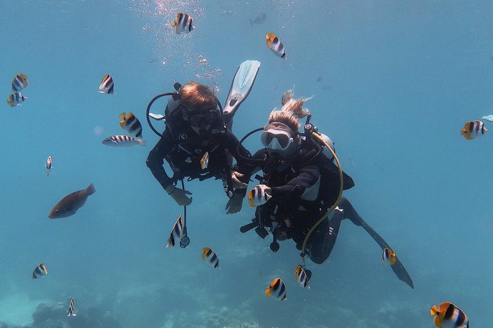Rangiroa Discover Scuba Diving in French Polynesia