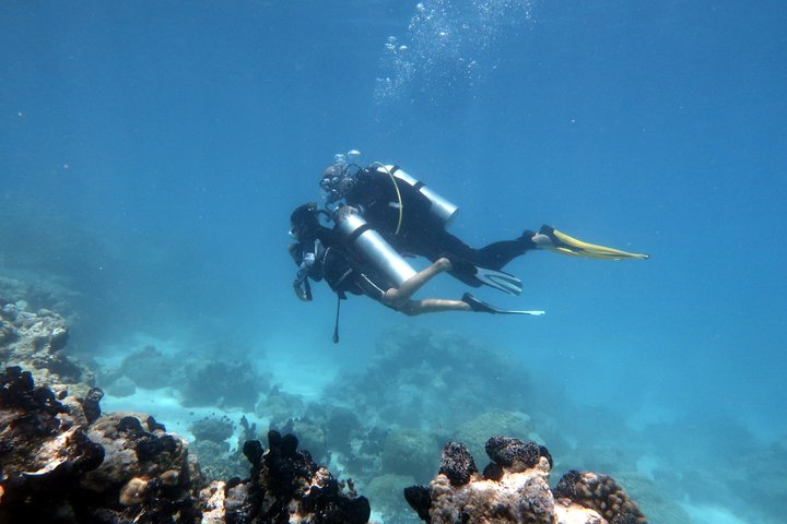Rangiroa Discover Scuba Diving in French Polynesia