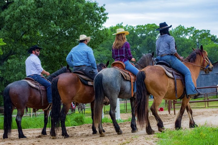 Memphis 1 hour Horseback Trail Ride