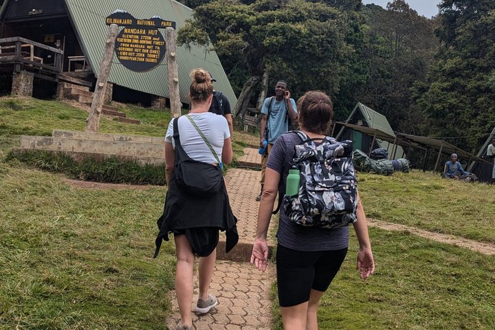 Kilimanjaro one day hike experience by KILITA SAFARIS
