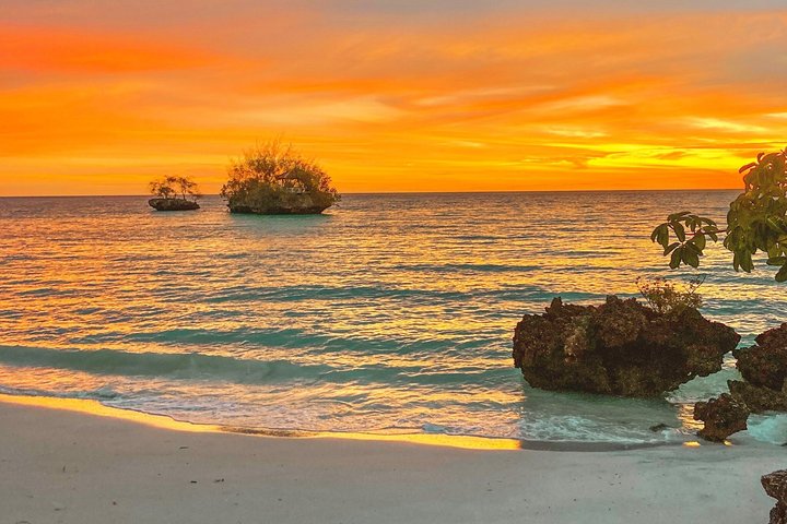 Pemba: 5 Days of Pure Bliss on Zanzibar’s Hidden Green Paradise