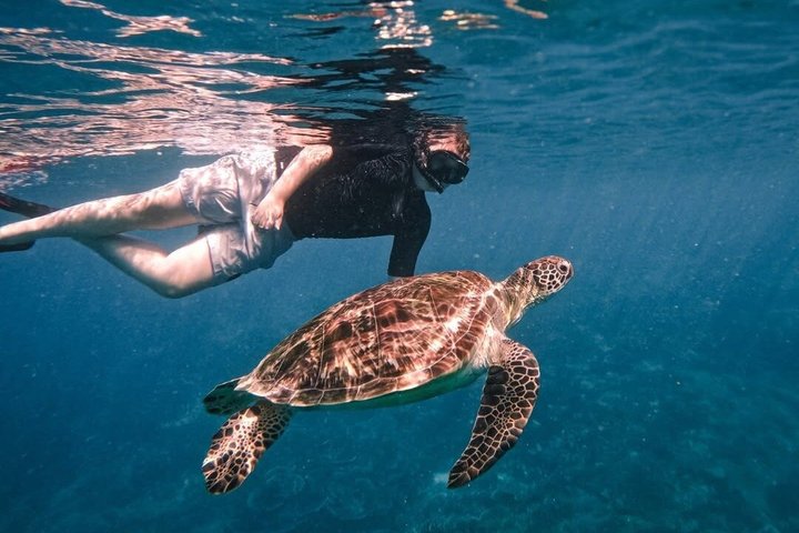 Komodo Island Speedboat Tour Padar Pink Beach with Snorkeling