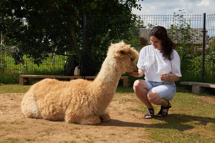 Trakai and Alpaca Family Park Private Tour