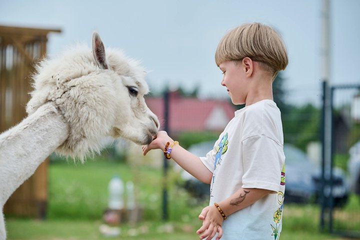 Trakai and Alpaca Family Park Private Tour