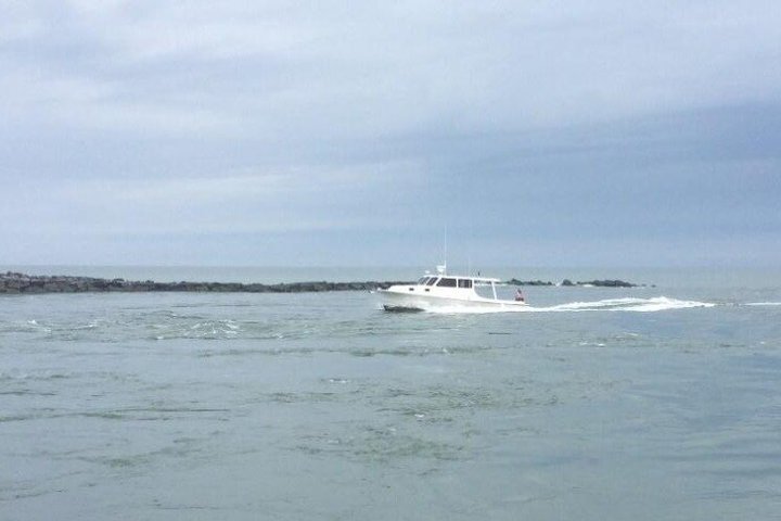 Seaside Cruising Dolphin Watching and Sunset Cruises