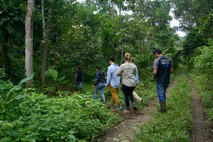 Amazon Forest to Table Cooking Class with Indigenous Hosts