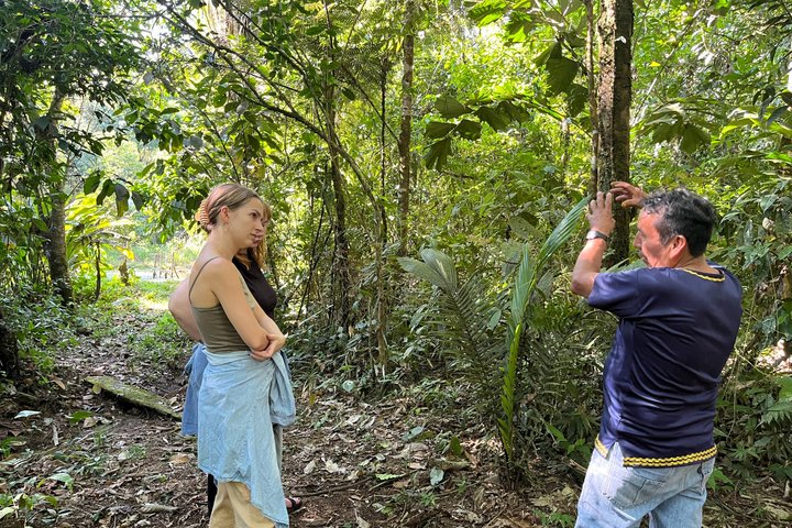 Amazon Forest to Table Cooking Class with Indigenous Hosts