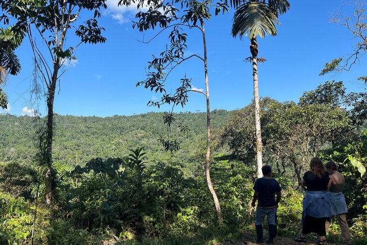 Amazon Forest to Table Cooking Class with Indigenous Hosts