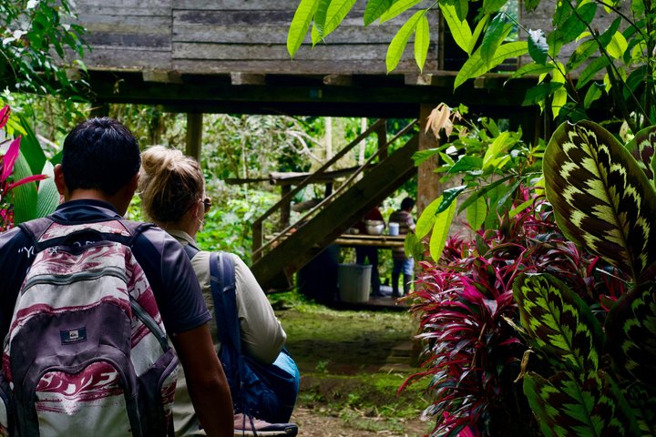 Amazon Forest to Table Cooking Class with Indigenous Hosts