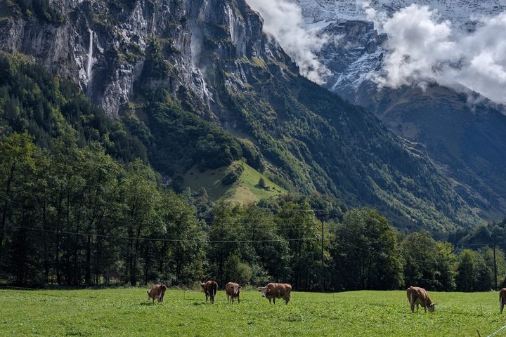 Lauterbrunnen Valley Highlights: Mürren, Waterfalls, Swiss Picnic