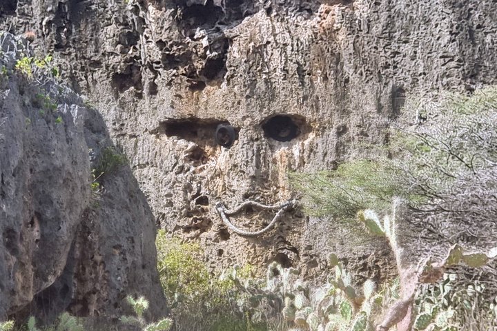 West Curaçao ATV Tour: Dessert & Cave - Flamingo - Turtles...