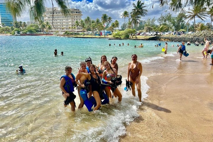 San Juan Guided Turtle Snorkel Tour and Complimentary Videos