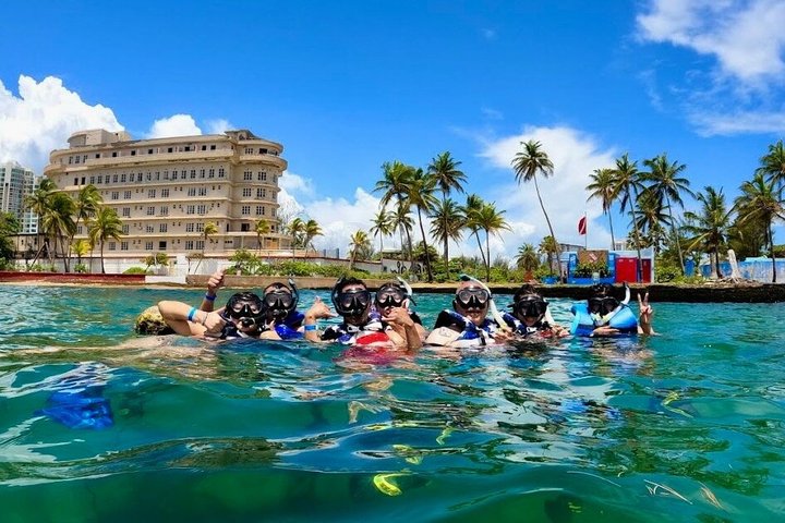 San Juan Guided Turtle Snorkel Tour and Complimentary Videos
