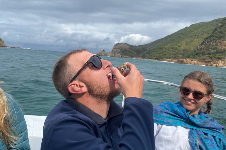 Knysna Oyster Tour