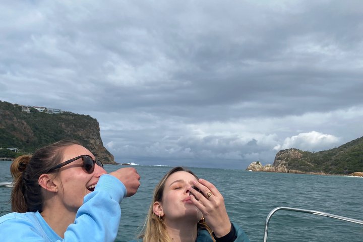 Knysna Oyster Tour