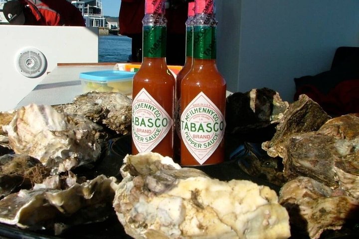 Knysna Oyster Tour