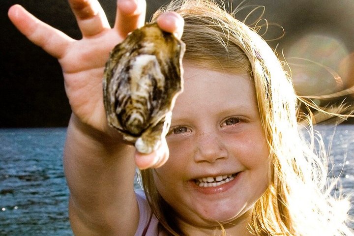 Knysna Oyster Tour