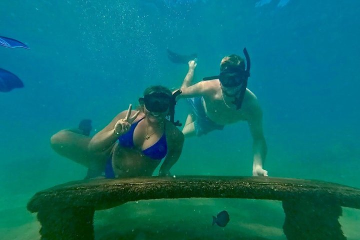 San Juan Guided Turtle Snorkel Tour and Complimentary Videos