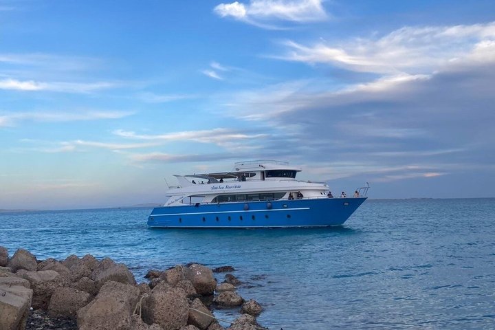 Hurghada: VIP Seafood Yacht to 3 Islands, Dolphins & Snorkeling