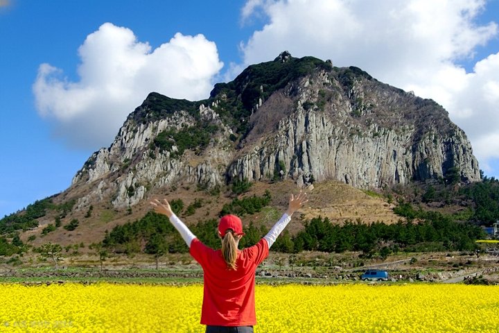 Jeju South-West Essentials: Hallasan & Signature Highlights