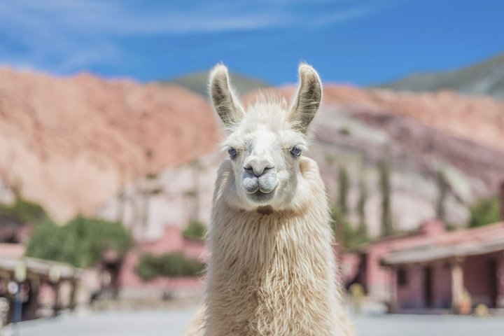 Iruya by Humahuaca from Jujuy