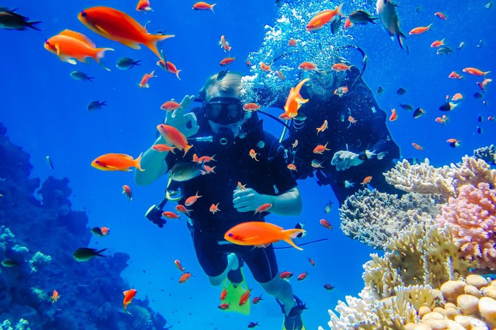 Sharm El Sheikh: White Island & Ras Mohammed Cruise with Lunch
