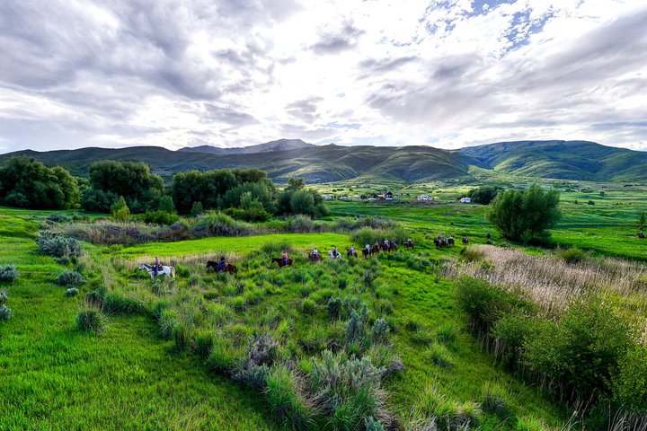 1 Hour Guided Horseback Riding Adventure