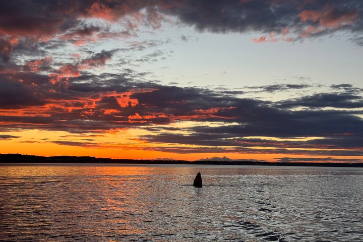 Plymouth Sounds and Sunset Cruise
