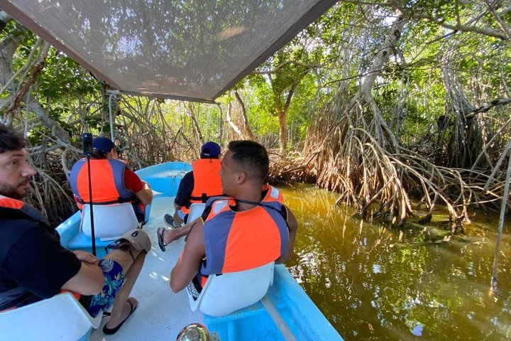 Nature tour full experience river lizards