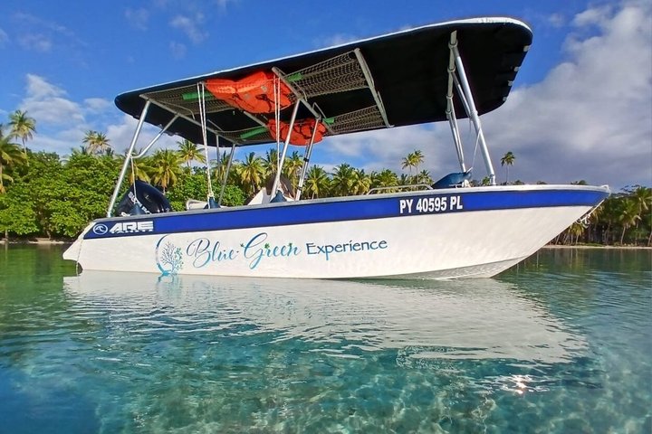 Raiatea Tahaa 1/2 day Coral Garden Snorkeling / Cruise Friendly