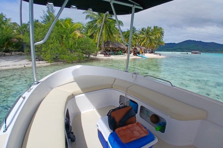 Raiatea Tahaa 1/2 day Coral Garden Snorkeling / Cruise Friendly
