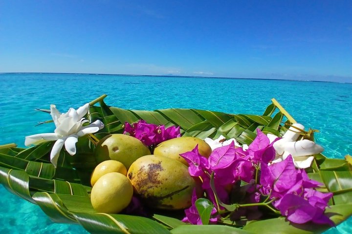 Raiatea Tahaa 1/2 day Coral Garden Snorkeling / Cruise Friendly
