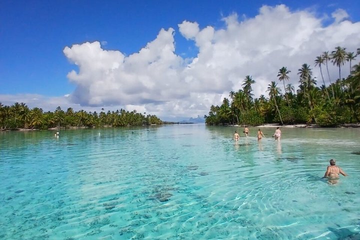 Raiatea Tahaa 1/2 day Coral Garden Snorkeling / Cruise Friendly