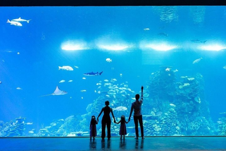 Tickets to the Grand Aquarium Mazatlan
