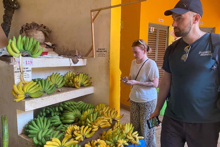 Entebbe Guided Walking Tour with Botanical Gardens & Rollex taste